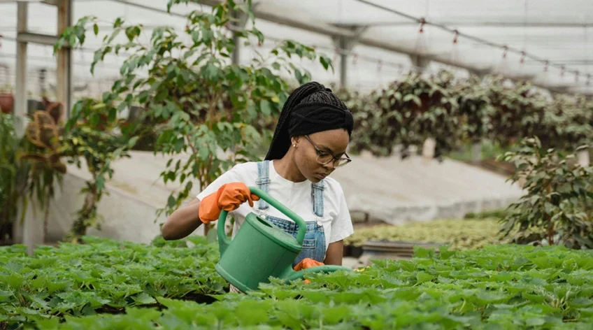 Ultrices sagittis orci a scelerisque purus semper eget duis at. Sollicitudin nibh sit amet.