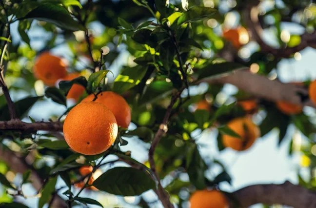 There are many variations of passages of Lorem Ipsum available, but majority have suffered teration in some form, by injected humour, or randomised words which don't look even slight believable. If you are going to use a passage of Lorem Ipsum.